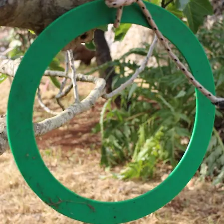 Lenalù *
